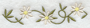 Daisy Border