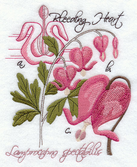 Bleeding Heart Botanical