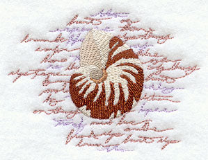 Song of the Seashell