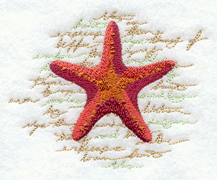 Story of the Starfish