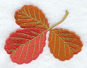 Alder Leaf Trio