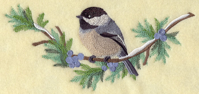 Chickadee in Juniper Boughs and Berries Spray