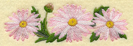 Daisy Border