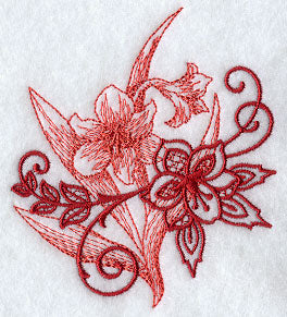 Amaryllis Echo in Bloom