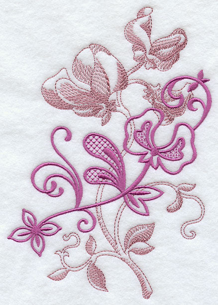 Sweet Pea Echo in Bloom