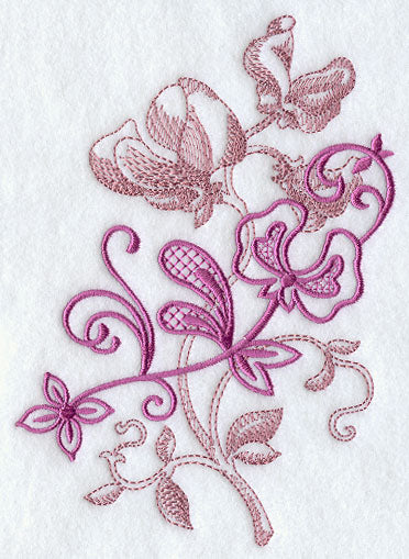 Sweet Pea Echo in Bloom