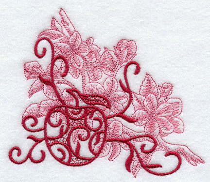 Apple and Blossom Echo in Bloom