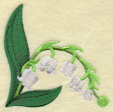 Lily of the Valley Corner