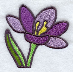 Stained Glass Crocus