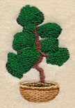 Bonsai Tree