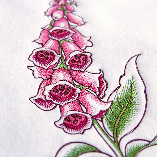 Delicate Floral Stems Design Pack