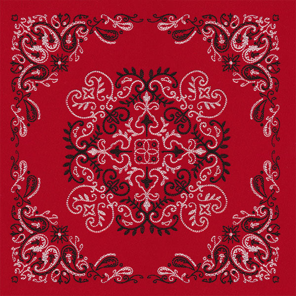 Delicate Paisley Pattern Bandana Pillow Pair