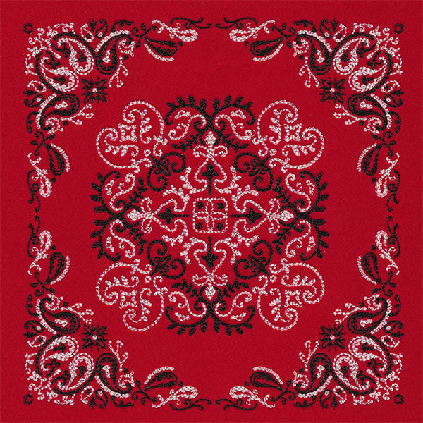 Delicate Paisley Pattern Bandana Pillow Pair