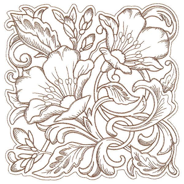 Evening Desert Primrose Square