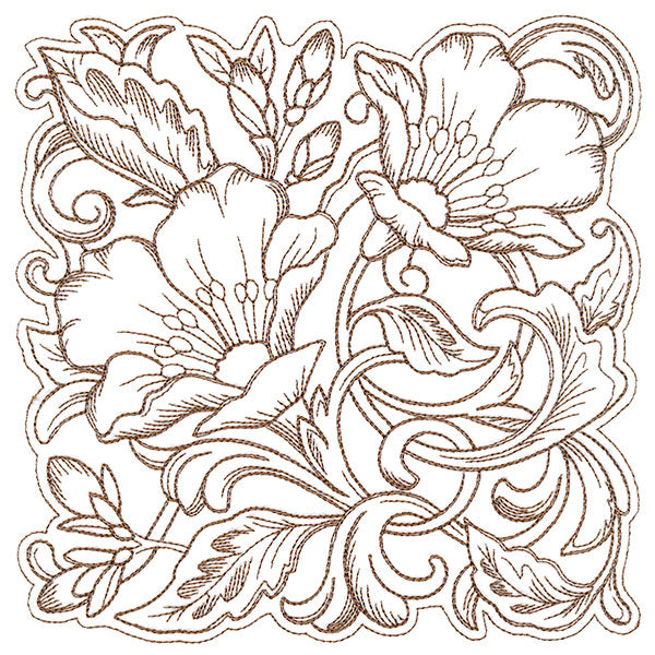 Evening Desert Primrose Square