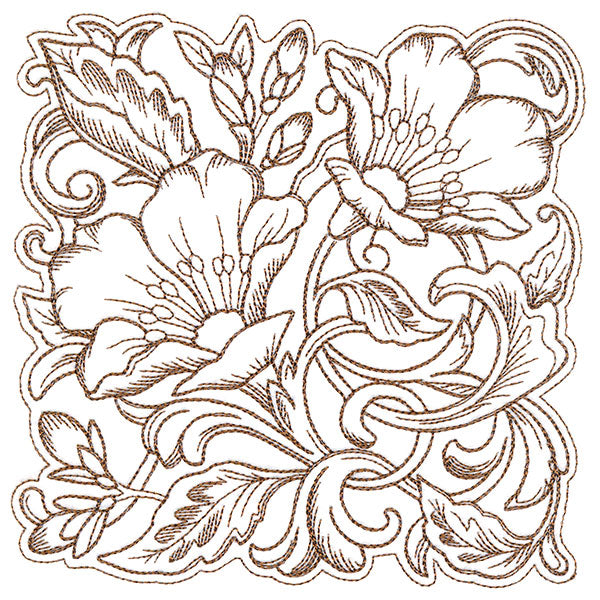 Evening Desert Primrose Square