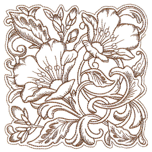 Evening Desert Primrose Square