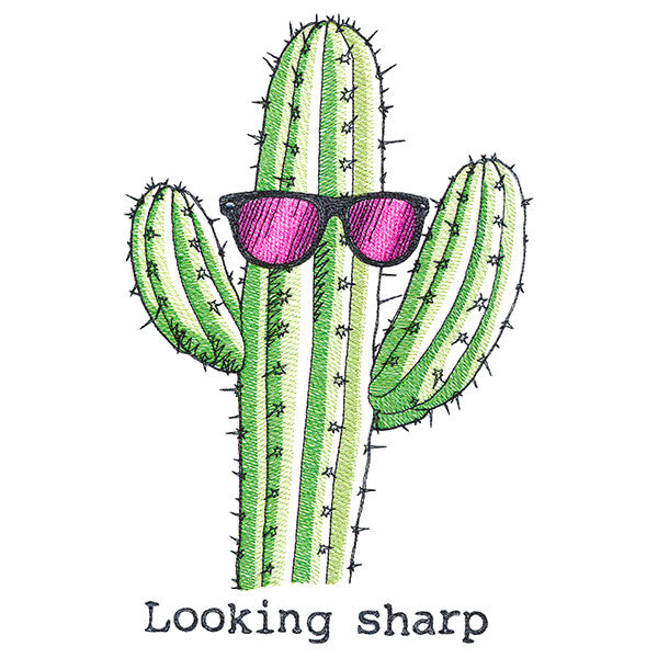 Looking Sharp Cactus