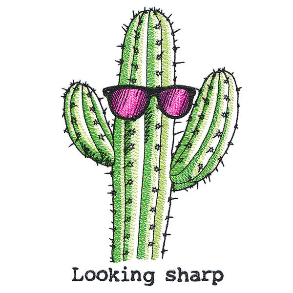 Looking Sharp Cactus