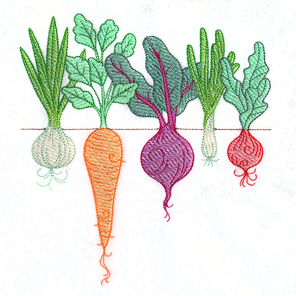 Rooting For You Garden Veggies Border