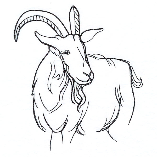 Simple Farm Sketch - Goat