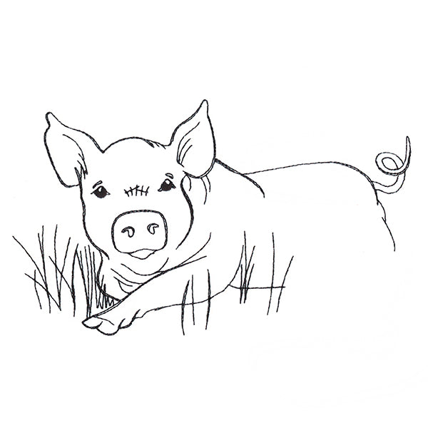 Simple Farm Sketch - Pig