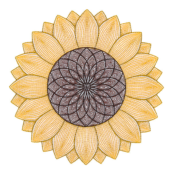 Mesmerizing Sunflower