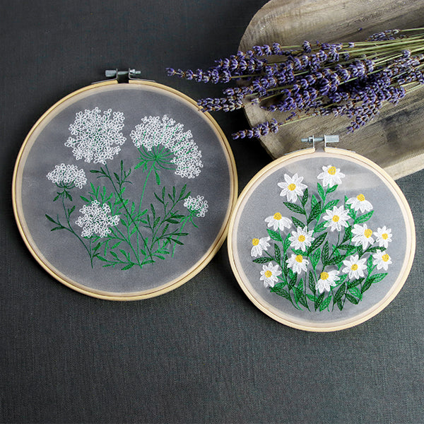 Summer Wonders - Queen Anne's Lace