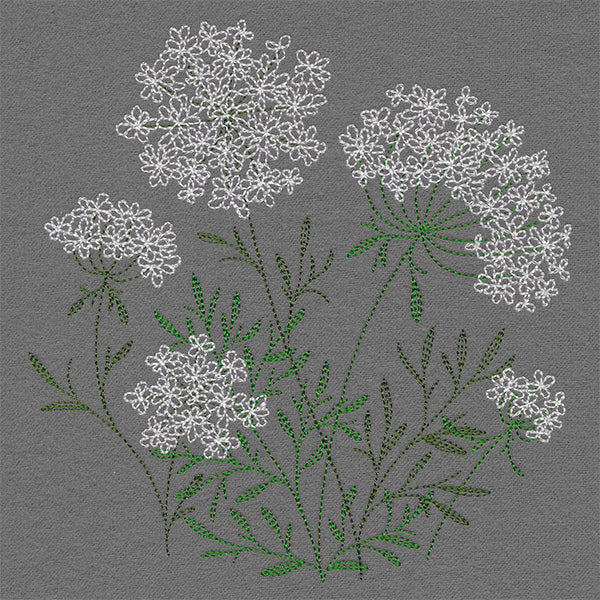 Summer Wonders - Queen Anne's Lace