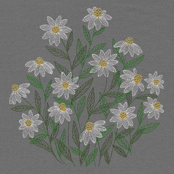 Summer Wonders - Daisies