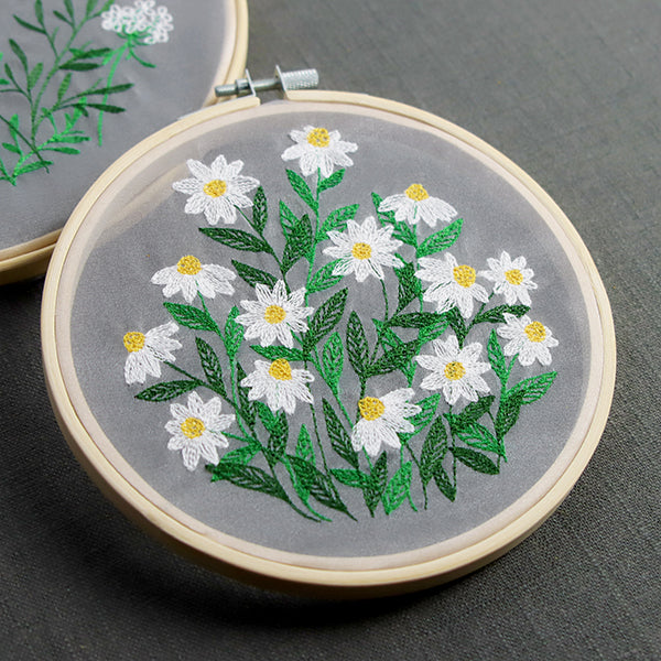 Summer Wonders - Daisies