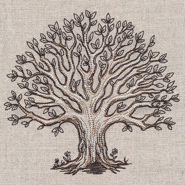 The Family Roots Tree