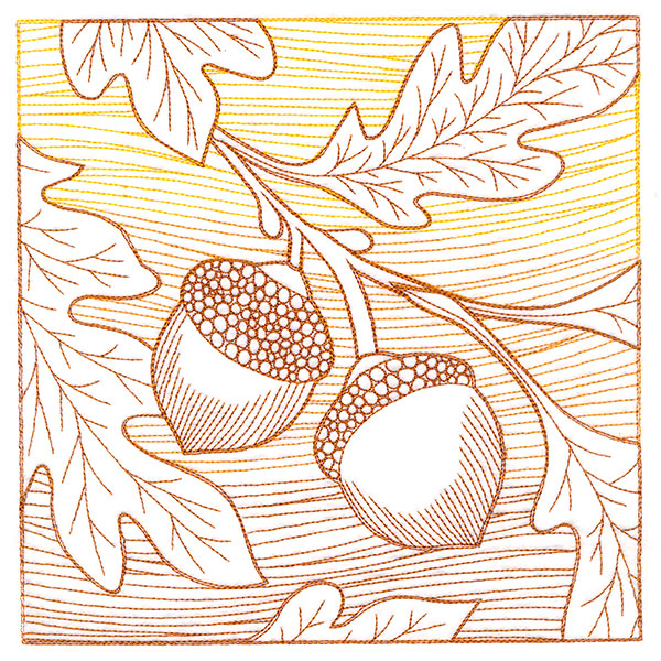 Fresh Harvest - Acorn Etching
