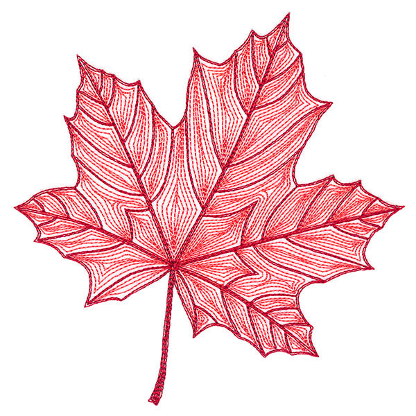 Fall into Autumn - Maple Leaf