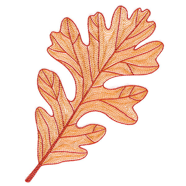 Fall into Autumn - Oak Leaf