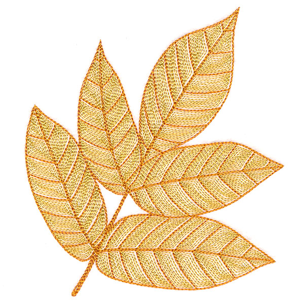 Fall into Autumn - Walnut Leaf