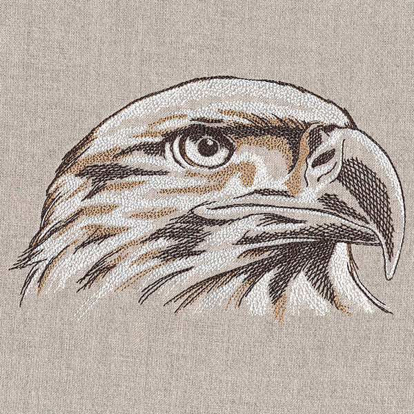 Elegant Eagle Etching