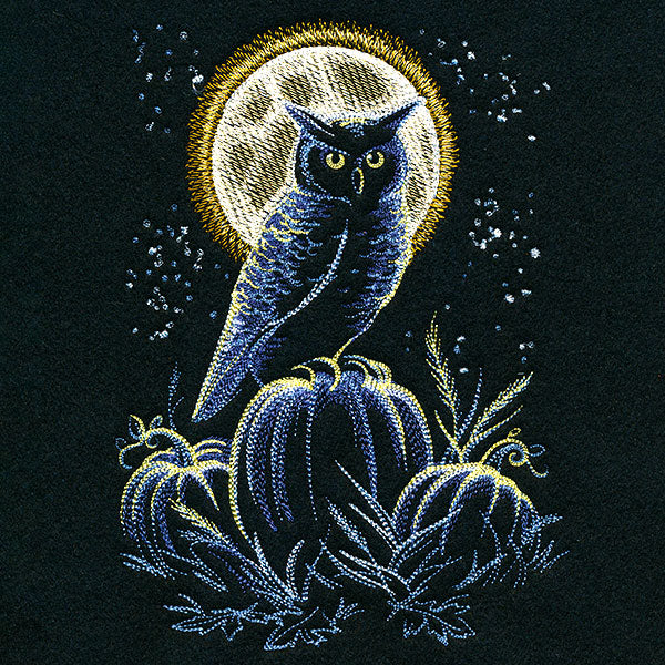 Owl in the Moonlight