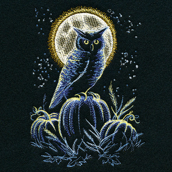 Owl in the Moonlight