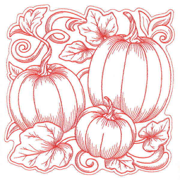 Pumpkin Patch in Autumn Square