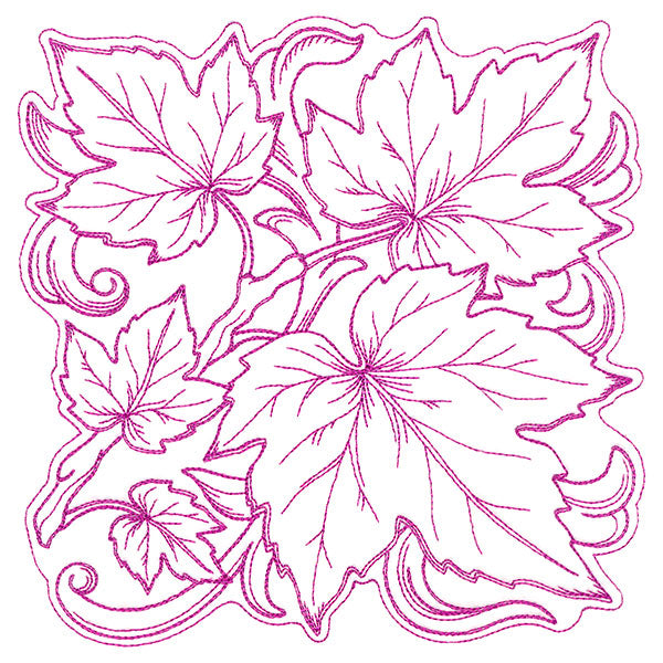 Maple Leaves in Autumn Square