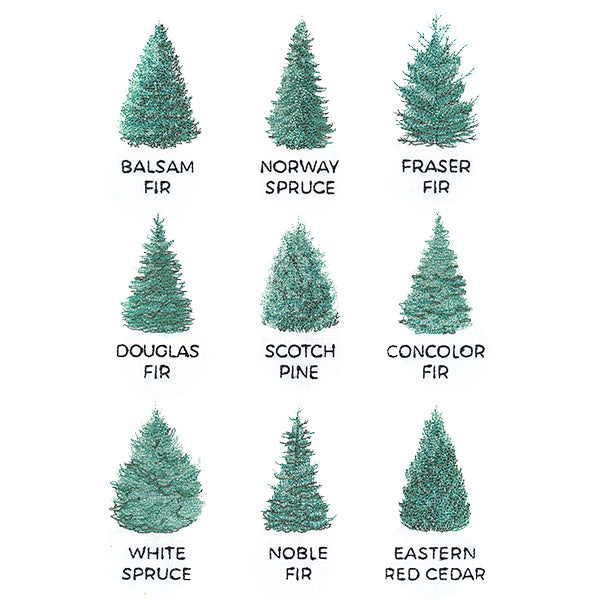 Christmas Tree Chart