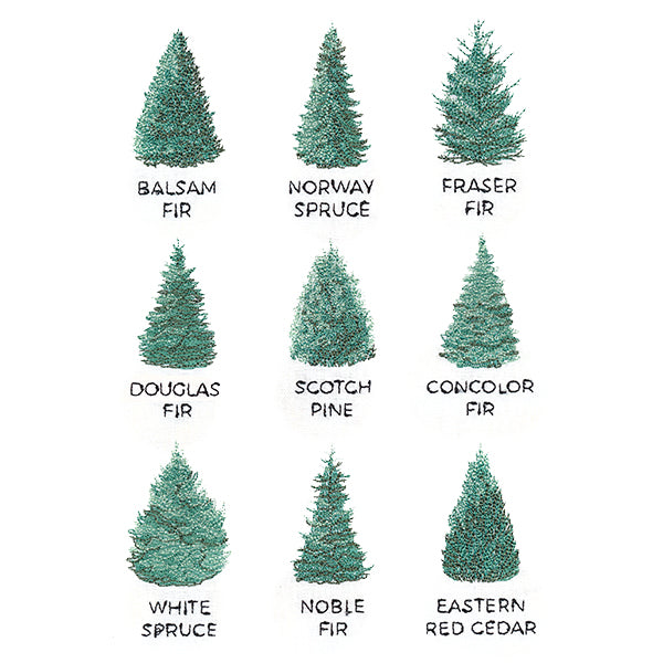 Christmas Tree Chart