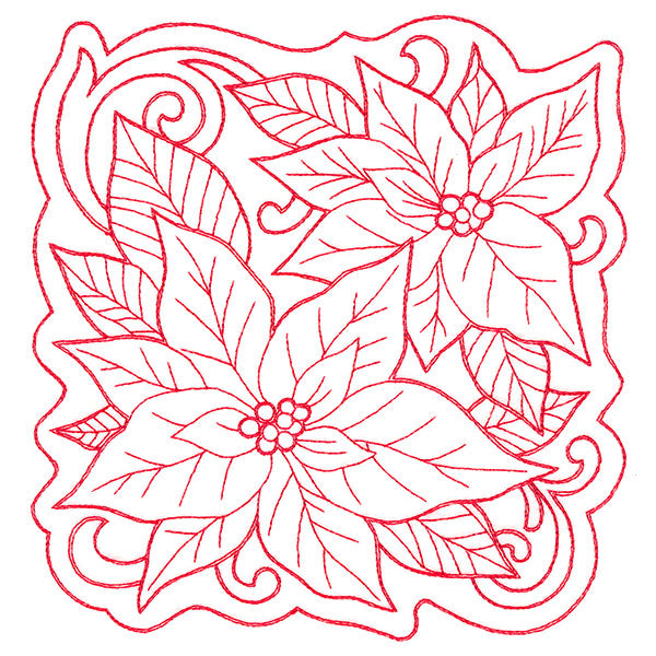 Poinsettias of Christmas Square