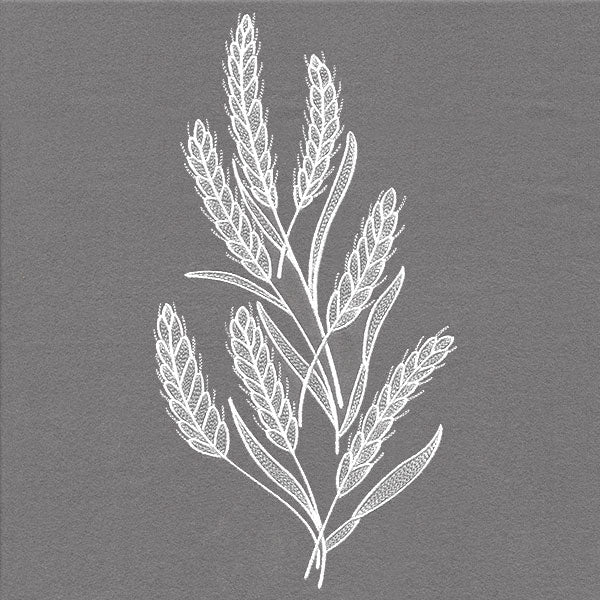 Blissful Wheat Feature