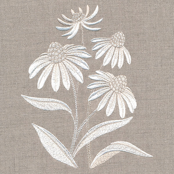 Cute Coneflower Bouquet