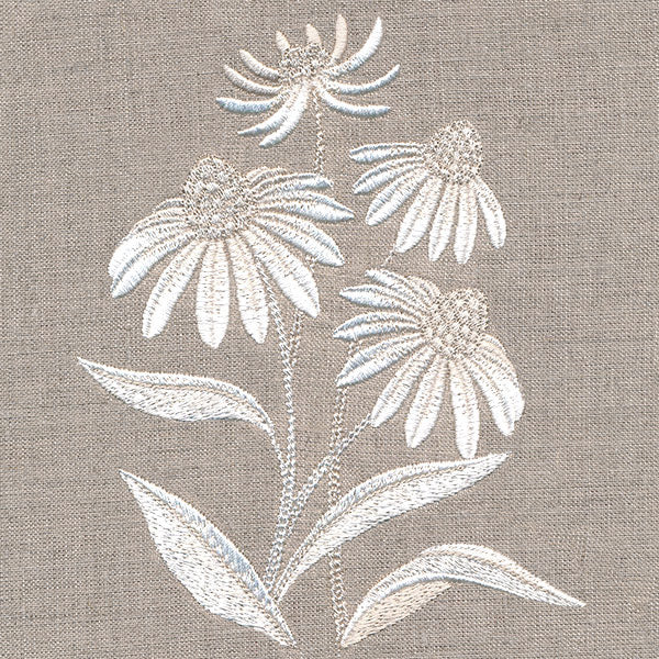 Cute Coneflower Bouquet