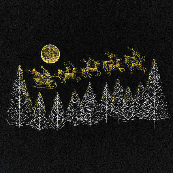 Santa Under the Moonlit Sky