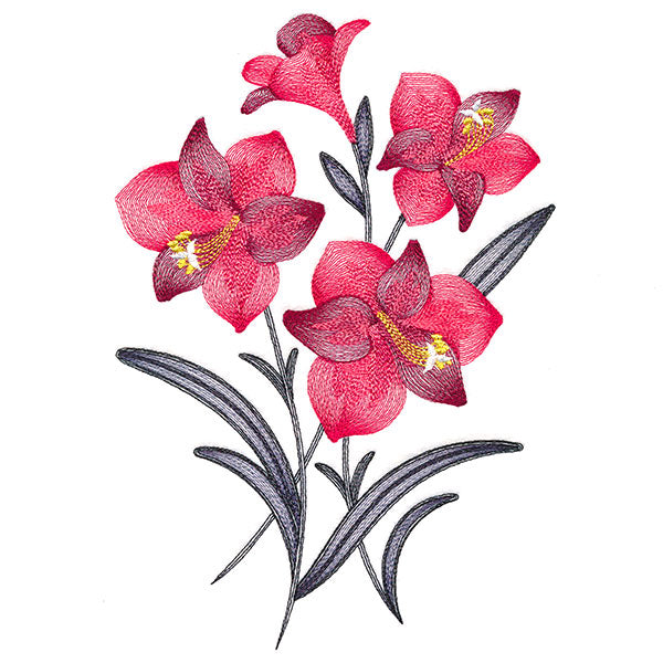 Festive Flourishing Bouquet - Amaryllis