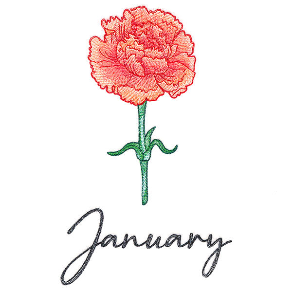 Flowers of the Year - January